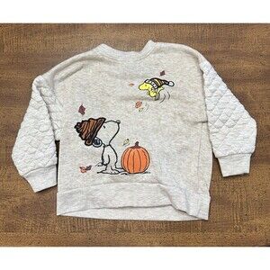 Peanuts Quilted Sleeve Sweatshirt Size 2T Snoopy Woodstock Pumpkin Embroidered